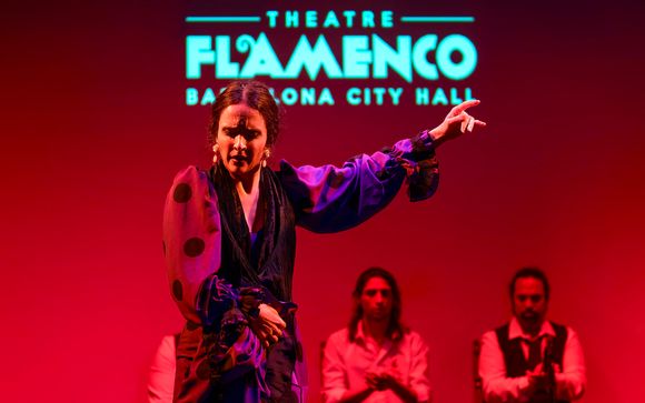 Ticket to flamenco show