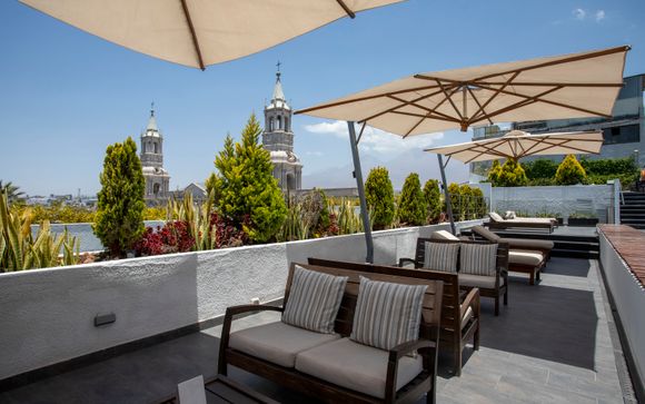 Your hotels