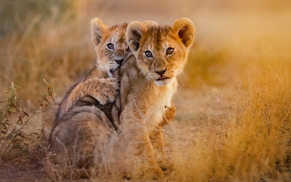 Your Itinerary In Detail