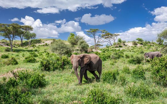 Your 4-Night Safari Itinerary In Detail