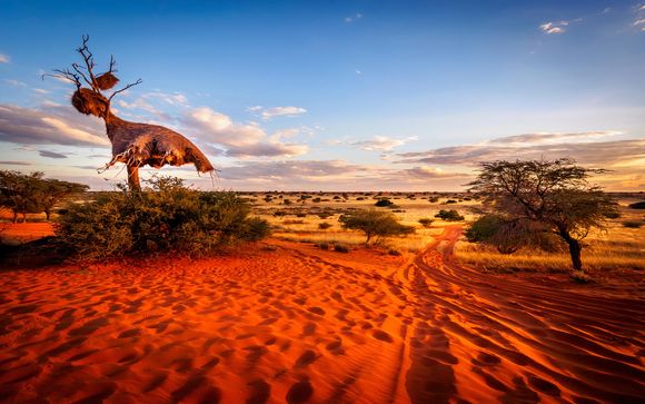 Your Itinerary In Brief