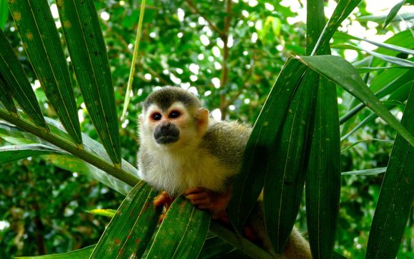 Your Itinerary In Detail