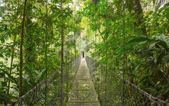 Your Itinerary In Detail