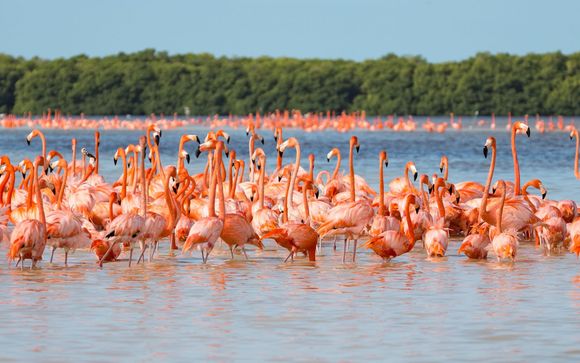 Your Itinerary In Brief