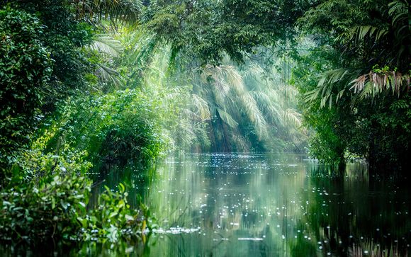 Your Itinerary in Detail