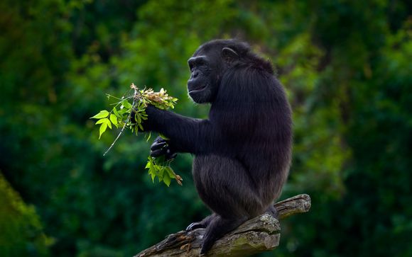 Your Itinerary In Brief