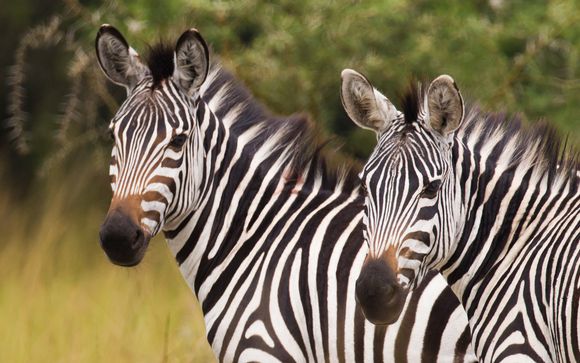 Your Itinerary In Detail