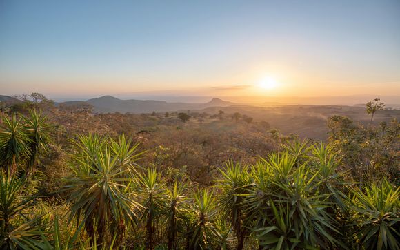 Your Itinerary In Detail