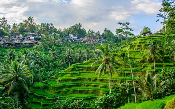 Your Itinerary In Detail