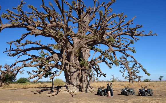 Your Optional Excursions