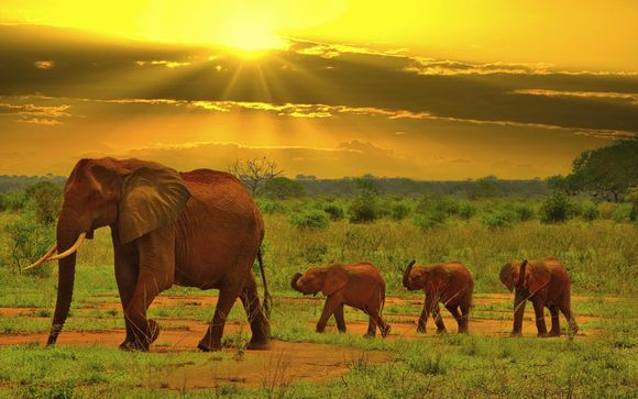 Your Itinerary In Detail