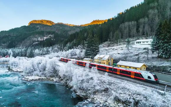 Your Included Excursions