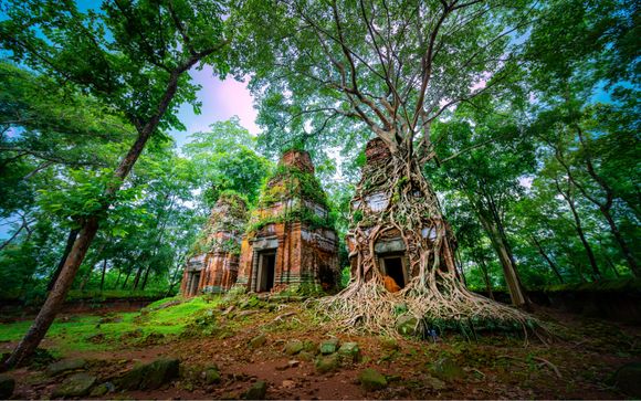 Your itinerary in detail