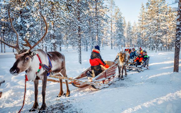 Your Included Excursions 