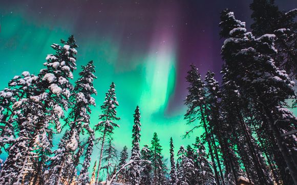 Your Optional Excursions 