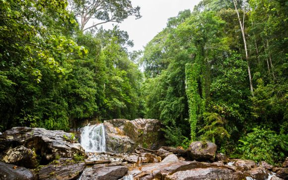 Your Optional Excursions