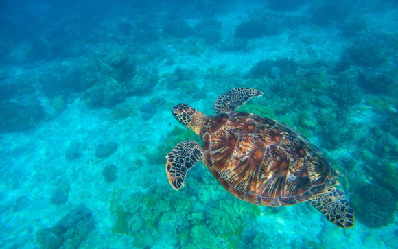 Your Itinerary in Detail