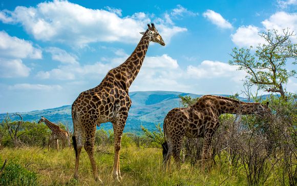 Your Itinerary in Detail