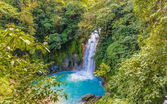 Your Optional Excursions 