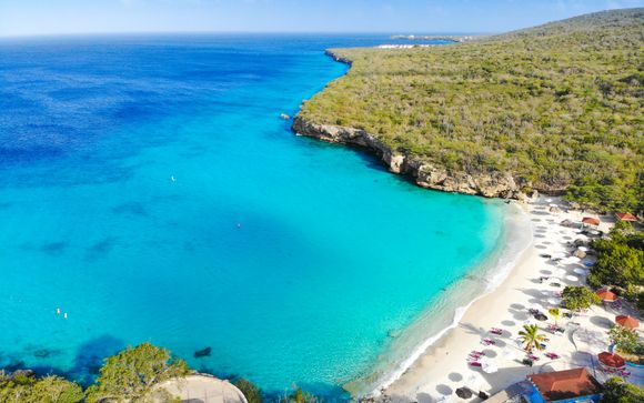 Your Optional Excursions