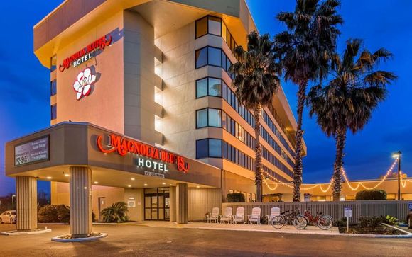 Your hotels
