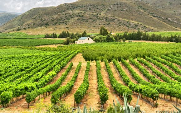 Your Itinerary In Detail