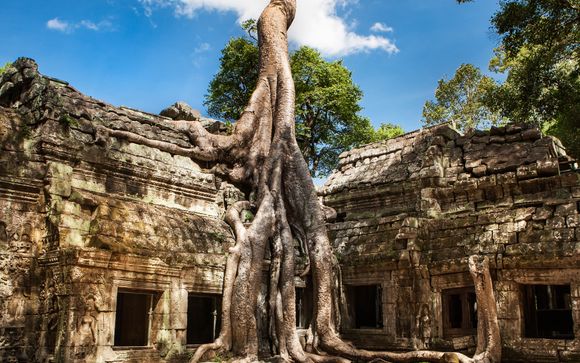 Your Itinerary In Detail