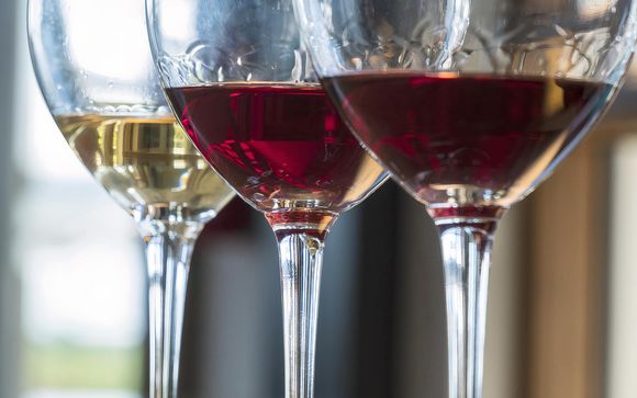 Your Optional Excursions