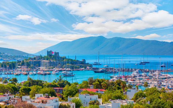 Your cruise itinerary in detail