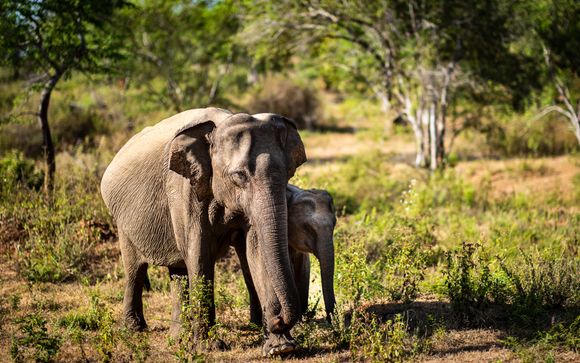 Your itinerary in detail