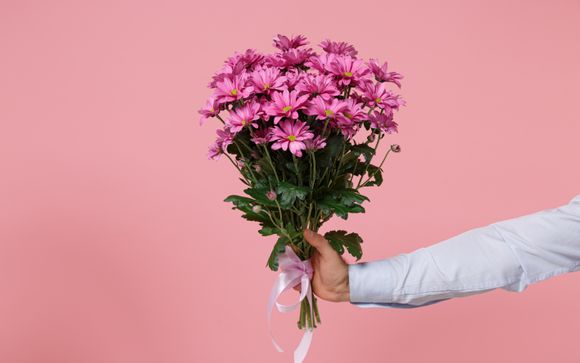 Your Optional Activities