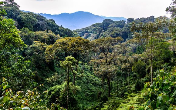 Your itinerary in detail