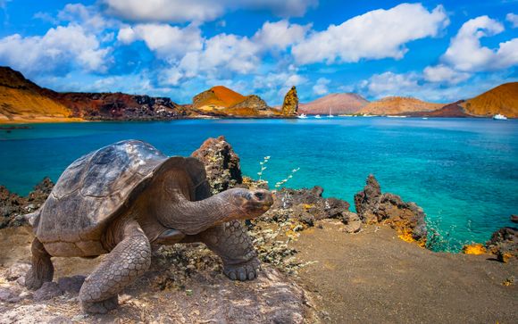 Your itinerary in detail