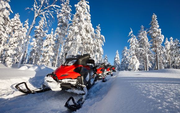 Snowmobile Safari 