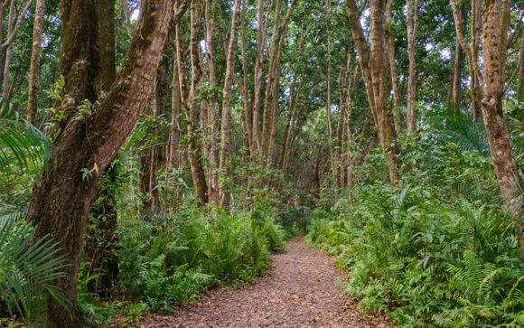 Your optional excursions