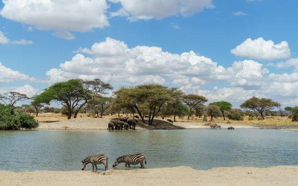 Welcome to Tanzania!