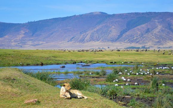 Your itinerary in detail