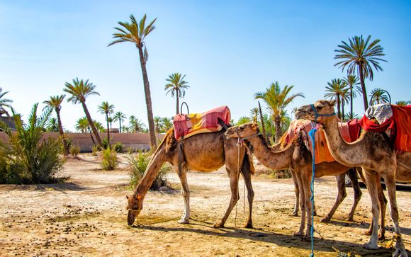 Optional excursions & extras