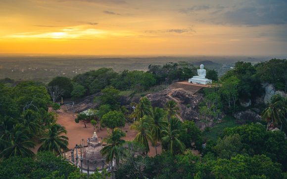 Your optional excursions