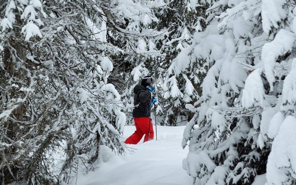 Your optional excursions