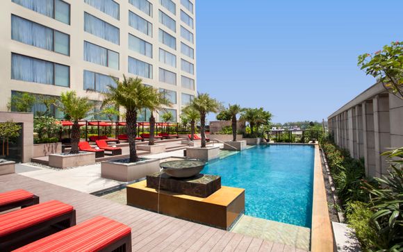 Your hotels