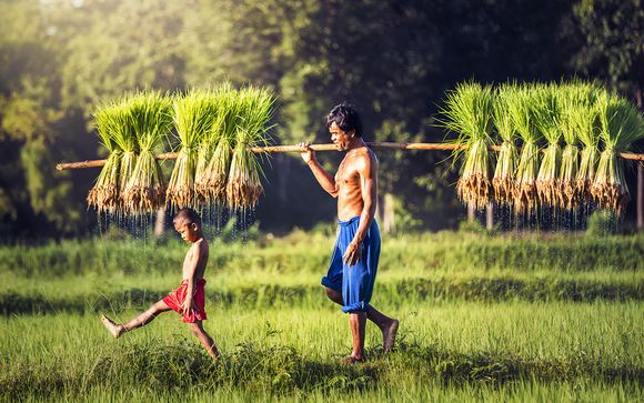 Your optional extras