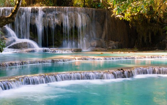 Your optional extras