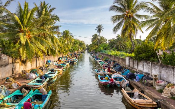 Your itinerary in detail