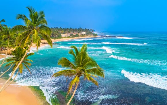 Your itinerary in detail