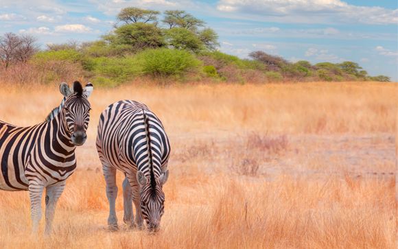 Your itinerary in brief