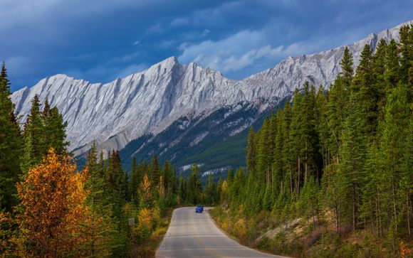 Your itinerary in detail