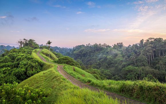 Welcome to Indonesia