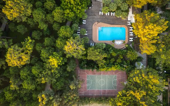 Balmy Foresta Hotel 5*