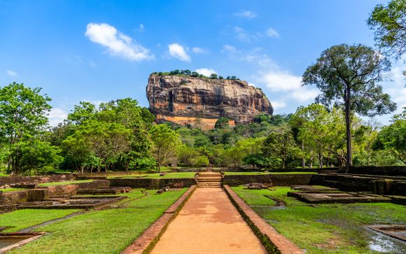 Your itinerary in detail